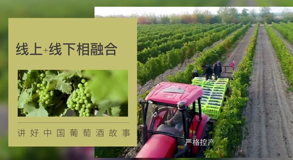 第二屆中國(guó)（寧夏）國(guó)際葡萄酒文化旅游博覽會(huì)先睹為快